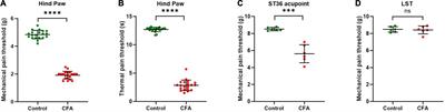 Shared nociceptive dorsal root ganglion neurons participating in acupoint sensitization